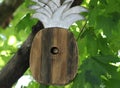 Wren in pineapple bird house