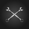 wrench image crossed vector logo Royalty Free Stock Photo
