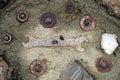 Wrench, bolts, and washers in concrete Royalty Free Stock Photo