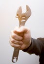 Wrench in hand Royalty Free Stock Photo