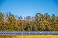 A solar panel farm in Wrens Ga