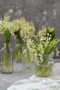 Wresh bouquets of lilies of the valley in glass vases on the white tablecloth on the gray background Royalty Free Stock Photo