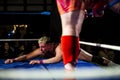 Wrestlers defeated Royalty Free Stock Photo