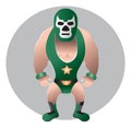 Wrestler Mexican Royalty Free Stock Photo