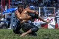 Wrestlers battle at ground level during competition at the Elmali Turkish Oil Wrestling Festival in Elmali in Turkey.