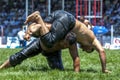 Wrestlers battle for victory at the Elmali Turkish Oil Wrestling Festival at Elmali in Turkey.