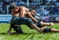 Wrestlers engaged in a close battle during competition at the Elmali Turkish Oil Wrestling Festival in Elmali in Turkey.