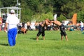 Wrestlers and referee