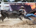 Wrestling the Steer Royalty Free Stock Photo