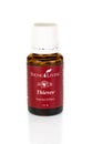 Young Living Thieves essential oil blend on white background.