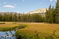 Wrights Lake landscape