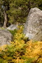 Wrights Lake Wilderness area