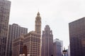 Clock Tower Building Downtown Chicago Royalty Free Stock Photo