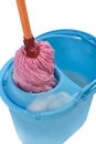 Wring the mop Royalty Free Stock Photo