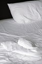 Wrinkle bedsheet and untidy crease duvet