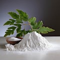 Wrinkled Carrageenan plant pure natural white powder