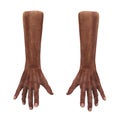 Wrinkled on old african man hand on white. 3D illustration