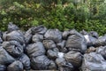 Wrinkled plastic bags texture pattern. Plenty of biodegradable bags piled up against a wall of leaves