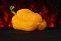 Wrinkled Yellow Bell Pepper.