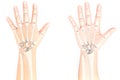 Wrist bone Royalty Free Stock Photo