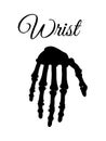 Wrist Poster and Silhouette Vector Illustration