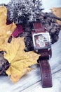 Wrist Watch Conceptual Time Pass Calendar Season Lichen Hour Zone Cork Leather Strap