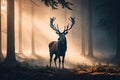 Deer in the misty forest