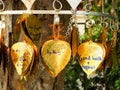 Write your wishes on the Gold Bodhi.