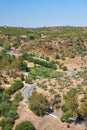 The writhing road winding among olive orchards on the hills. Baixo Alentejo. Portugal