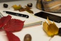 Writing-book and autumn leaves. Concept for Back to school Royalty Free Stock Photo