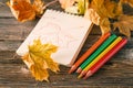 Writing-books, multi-coloured pencils in a cup and autumn leaves Royalty Free Stock Photo