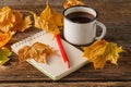 Writing-books, multi-coloured pencils in a cup and autumn leaves Royalty Free Stock Photo