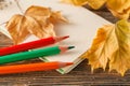 Writing-books, multi-coloured pencils in a cup and autumn leaves Royalty Free Stock Photo