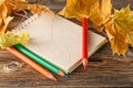 Writing-books, multi-coloured pencils in a cup and autumn leaves Royalty Free Stock Photo