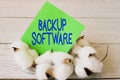 Writing displaying text Backup Software. Business idea create extra exact copies of files or entire computers Blank