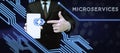 Writing displaying text Microservices. Business overview Software development technique Building single function module Royalty Free Stock Photo