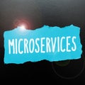Writing displaying text Microservices. Business overview Software development technique Building single function module Royalty Free Stock Photo