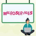 Writing displaying text Microservices. Business overview Software development technique Building single function module Royalty Free Stock Photo