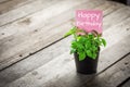 Writing happy birthday on card and ornamental plants in pots