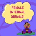 Writing note showing Female Internal Organs. Business photo showcasing The internal genital structures of the Baby