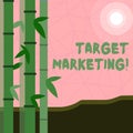 Writing note showing Target Marketing. Business photo showcasing Market Segmentation Audience Targeting Customer Selection