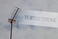 Writing note showing Testosterone. Business photo showcasing Male hormones development and stimulation sports substance Sky cloud