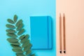 Writing Notepad Wood Pencils Green Plant Branch on Contrast Blue Peach Pink Pastel Color Background Combination.Business Education