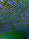 Writing program code on computer. Programming of Internet website. Lots of digits on the computer screen. Developing programming