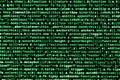 Writing programming code on laptop. Digital binary data on computer screen Royalty Free Stock Photo