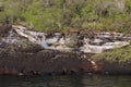 Writing on Rocks at Tagus Cove 833073