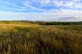 Writing on Stone Park horizon Royalty Free Stock Photo