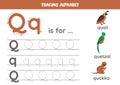 Writing uppercase and lowercase letter q. Printable worksheet. Cute illustration of quail, quokka, quetzal.