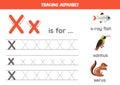 Writing uppercase and lowercase letter x. Printable worksheet. Cute illustration of xantus, xray fish, xerus.