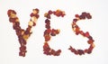 Writing YES with red rose petals